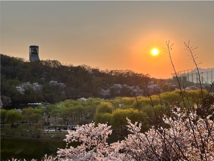 In North * Seoul